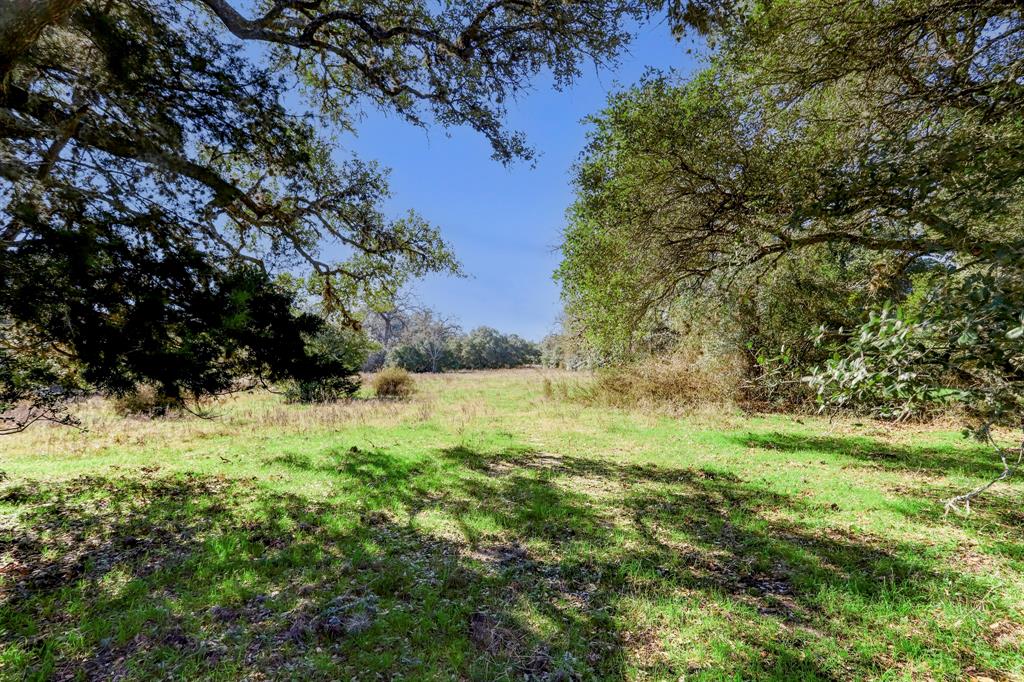 2130 Hartfield Road, Round Top, Texas image 34