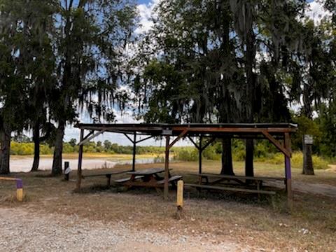 Mourning Dove Trail, Coldspring, Texas image 2