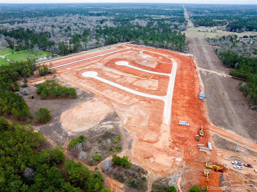 12347 Sword Point Court, Willis, Texas image 18