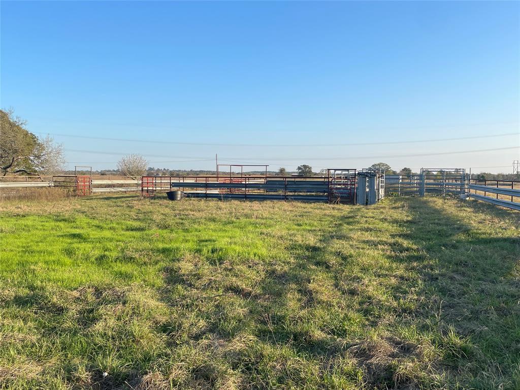 TBD County Road 228 Tract 1, Bedias, Texas image 7