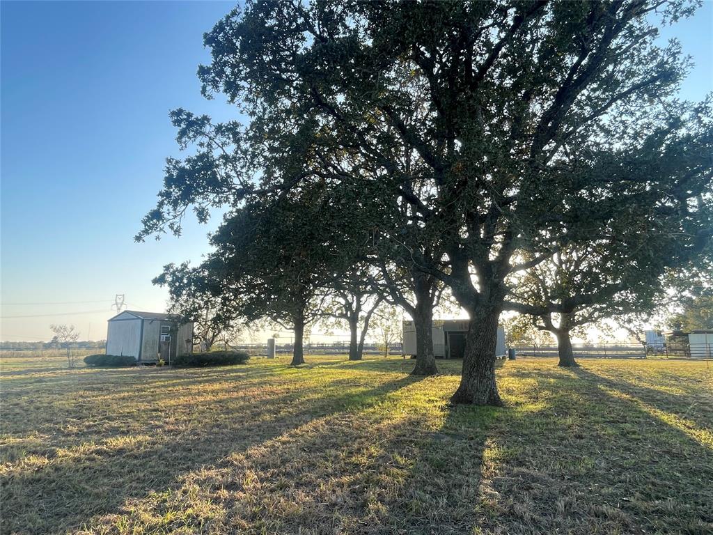 TBD County Road 228 Tract 1, Bedias, Texas image 3