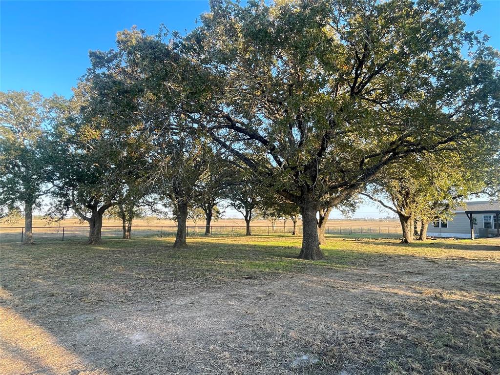 TBD County Road 228 Tract 1, Bedias, Texas image 2