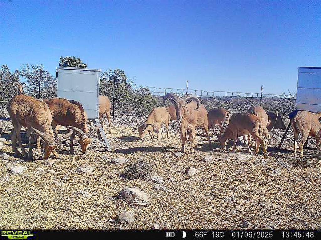 000 Marvin Road, Comstock, Texas image 37
