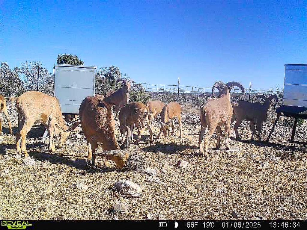 000 Marvin Road, Comstock, Texas image 36
