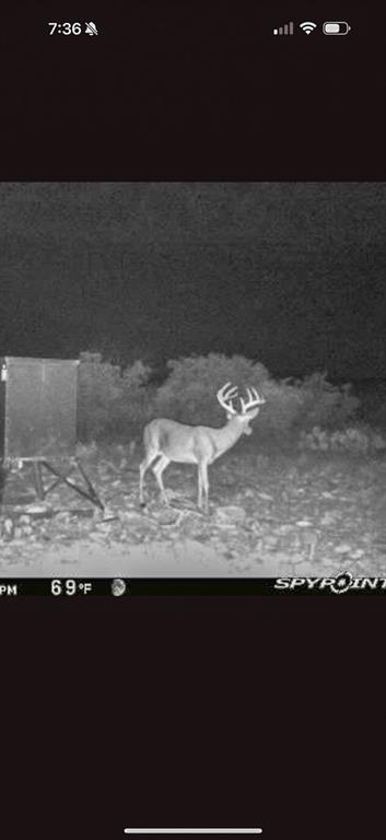 000 Marvin Road, Comstock, Texas image 32