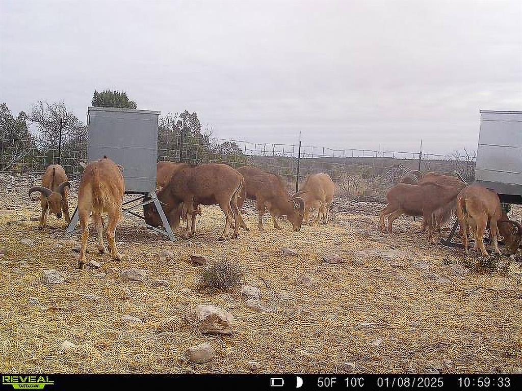 000 Marvin Road, Comstock, Texas image 35