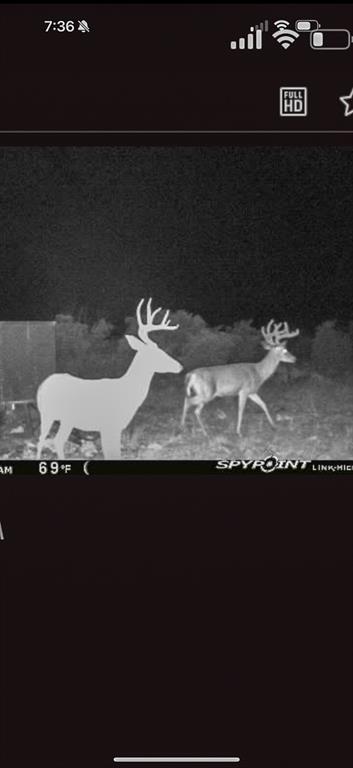 000 Marvin Road, Comstock, Texas image 33