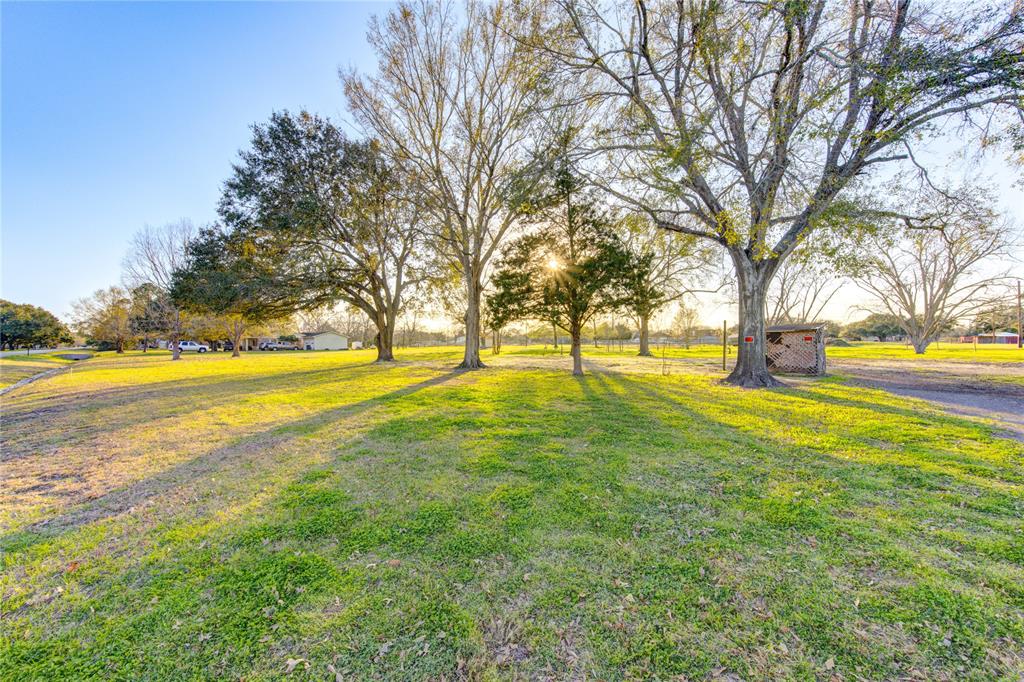 602 Sycamore Road, Richmond, Texas image 17