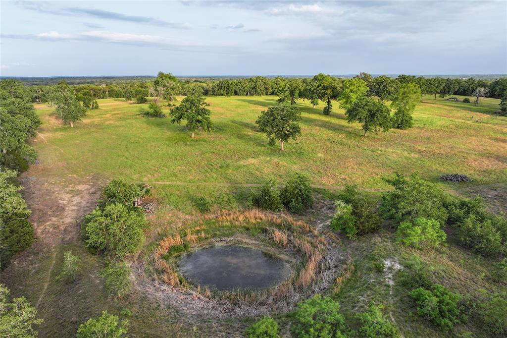 991 Fm 20, Cedar Creek, Texas image 17