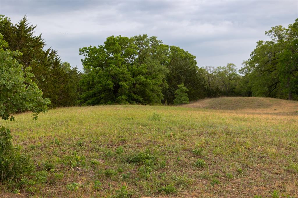 991 Fm 20, Cedar Creek, Texas image 9