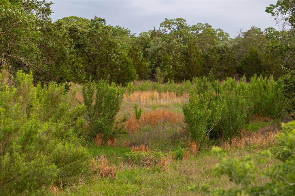991 Fm 20, Cedar Creek, Texas image 10