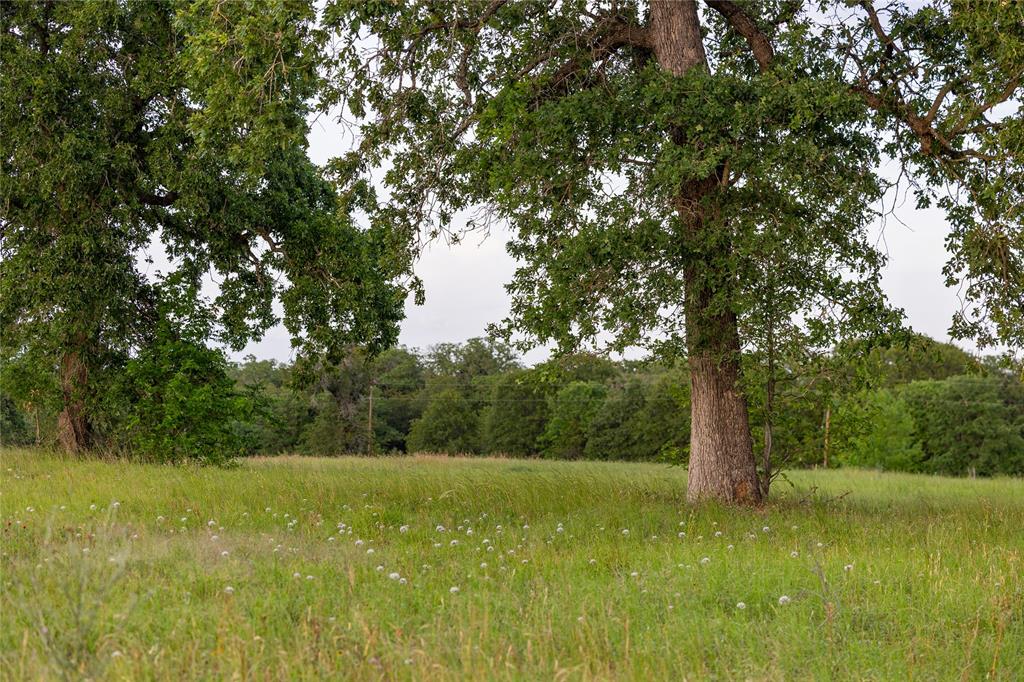 991 Fm 20, Cedar Creek, Texas image 11