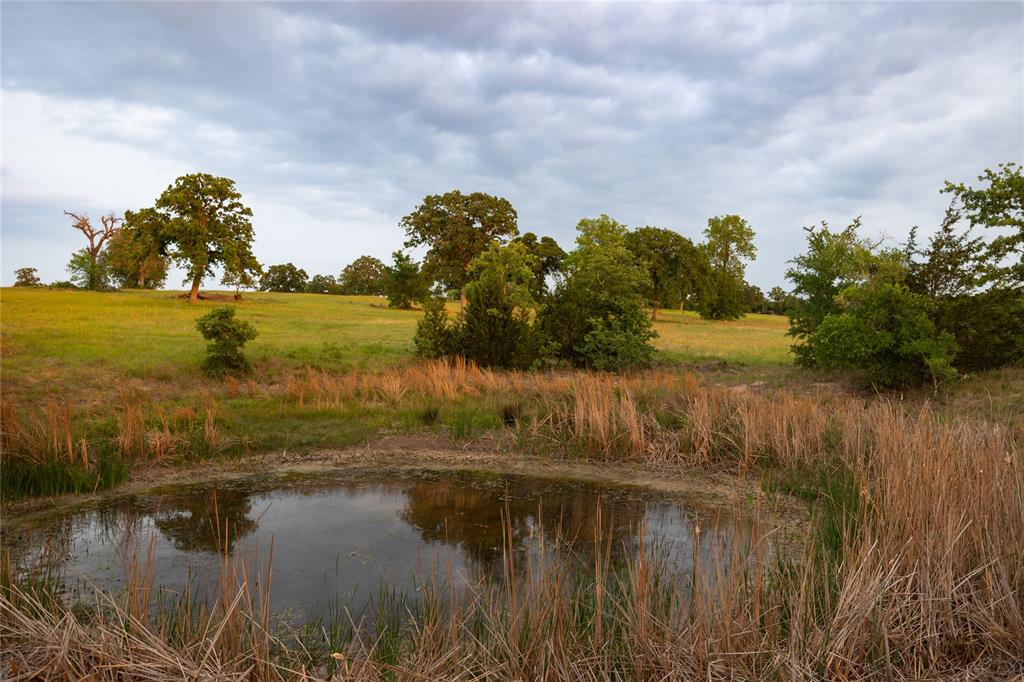 991 Fm 20, Cedar Creek, Texas image 14