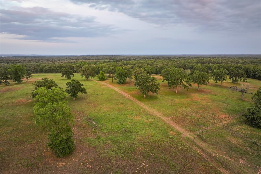 991 Fm 20, Cedar Creek, Texas image 4