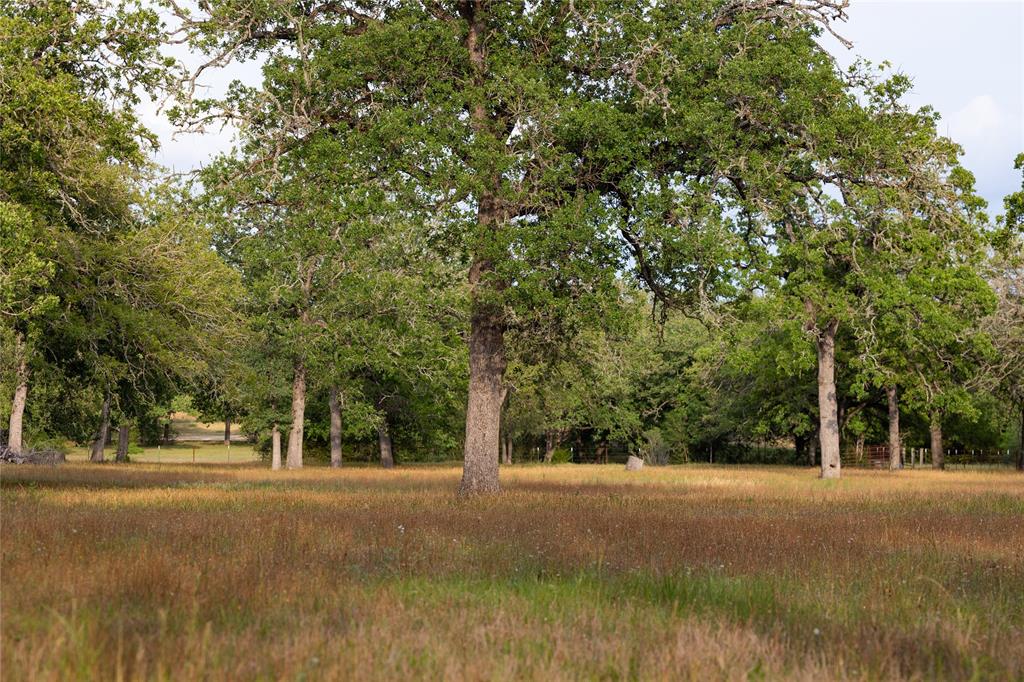 991 Fm 20, Cedar Creek, Texas image 6