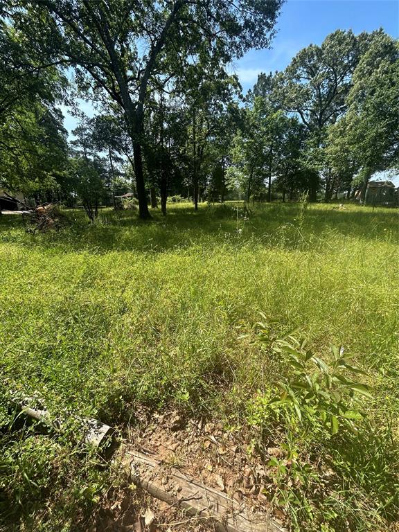 91 S Pavey Circle, New Waverly, Texas image 10
