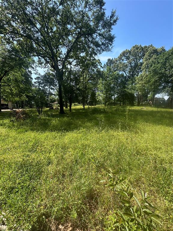 91 S Pavey Circle, New Waverly, Texas image 2