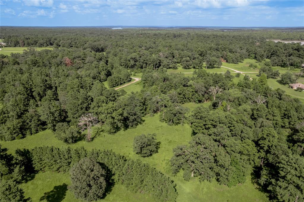 Lot 3 And 4 Bay Tree Street, Trinity, Texas image 8