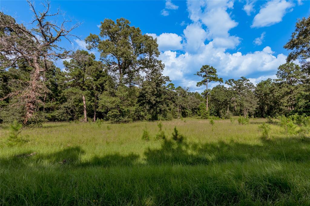 Lot 3 And 4 Bay Tree Street, Trinity, Texas image 6