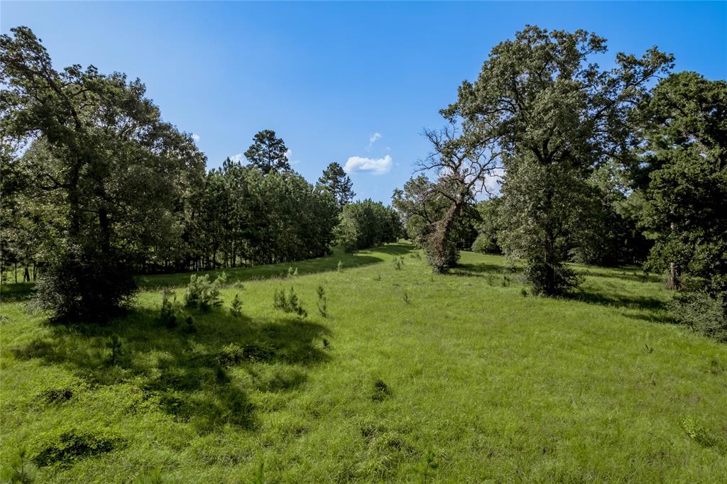 Lot 3 and 4 Bay Tree Street