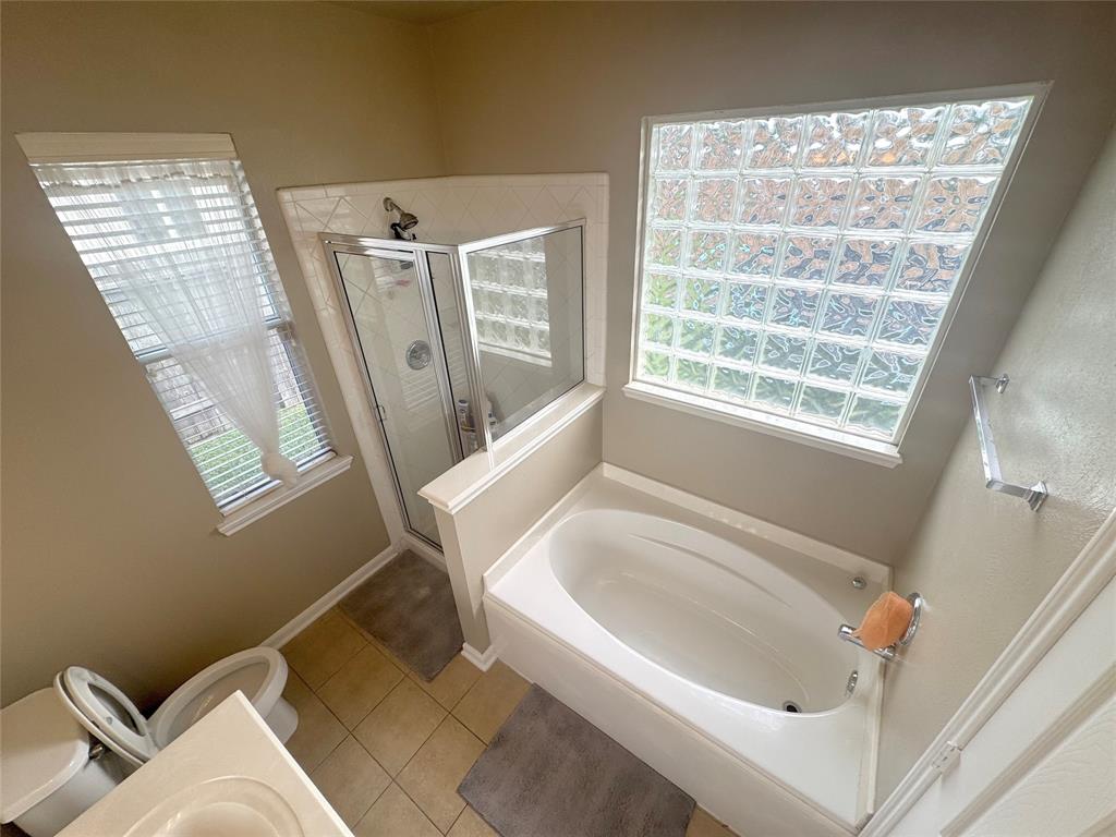 12902 Meadow Springs Drive, Pearland, Texas image 46