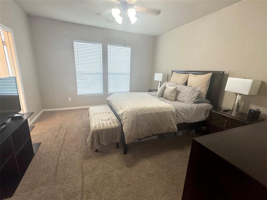 12902 Meadow Springs Drive, Pearland, Texas image 38