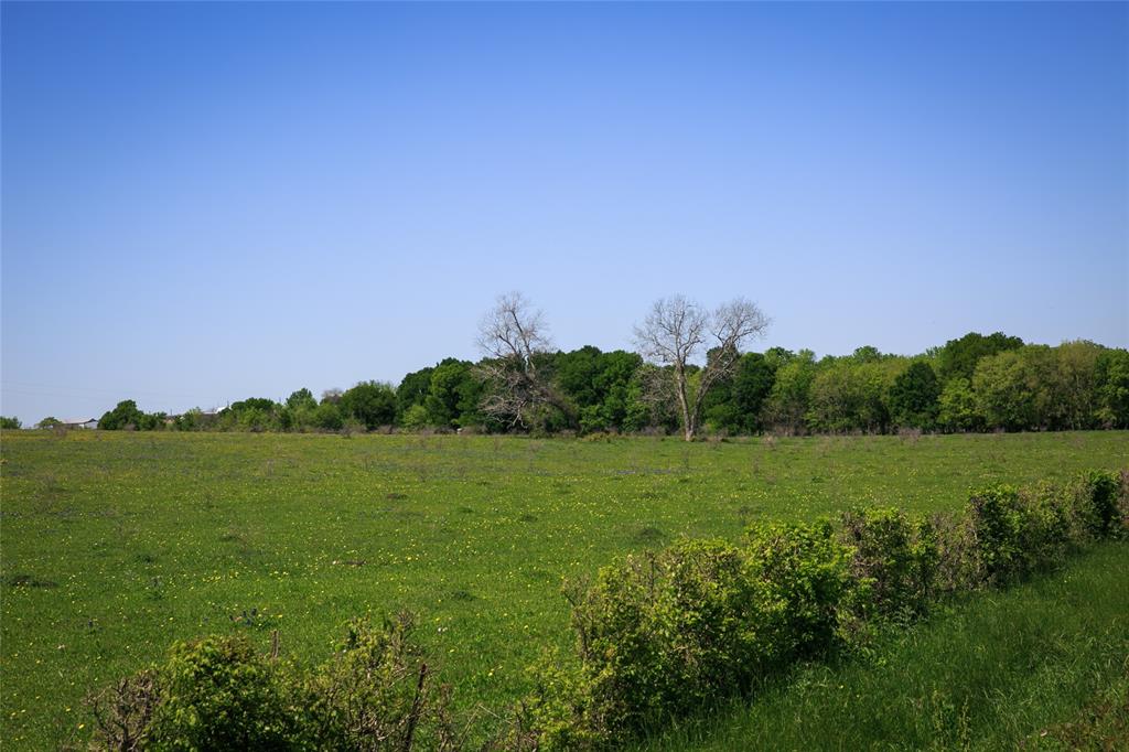 TRACT 5 Caney Creek Road, Chappell Hill, Texas image 3