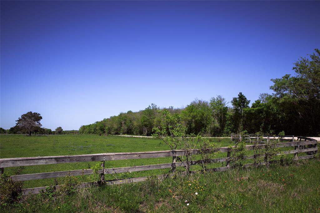 TRACT 5 Caney Creek Road, Chappell Hill, Texas image 2