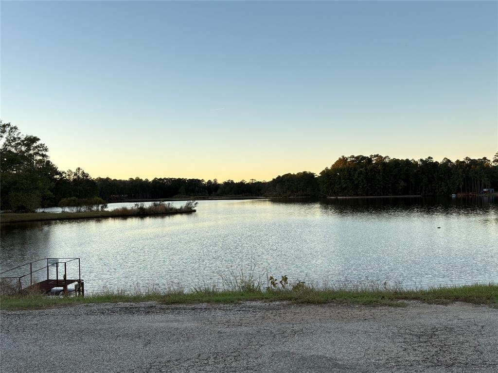 TBD Galahad Loop, Ivanhoe, Texas image 6