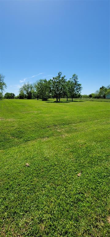 4411 Tankersley Circle, Rosharon, Texas image 3