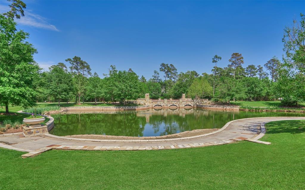 11 Olmstead Row, The Woodlands, Texas image 44