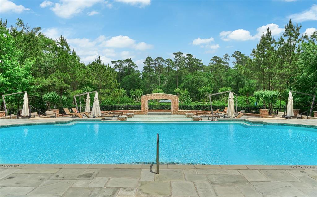 11 Olmstead Row, The Woodlands, Texas image 48