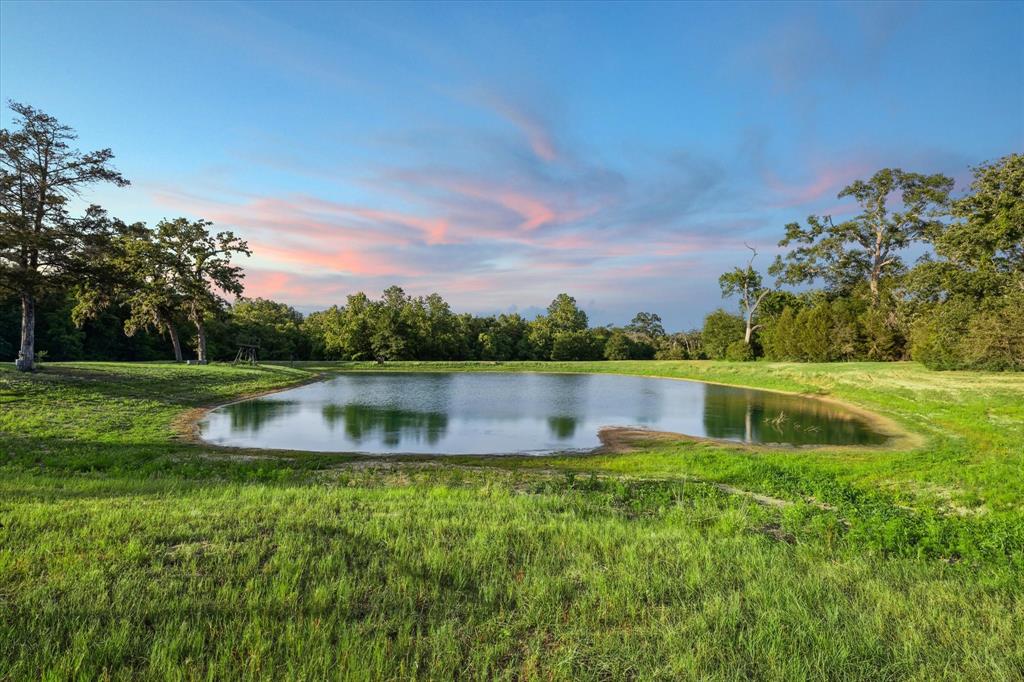 6892 Palm Road, Sealy, Texas image 13