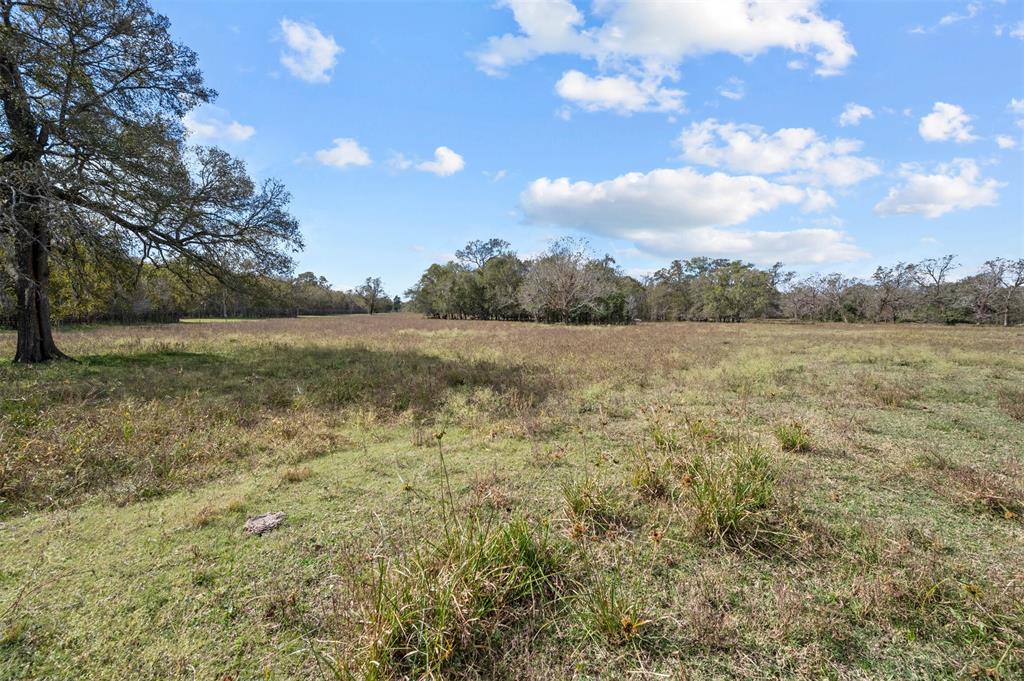 Mackhank Road, Boling, Texas image 8