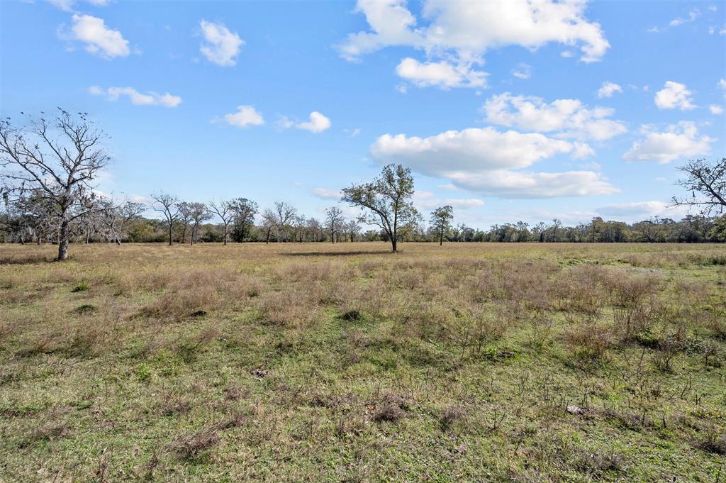 Mackhank Road, Boling, Texas image 3