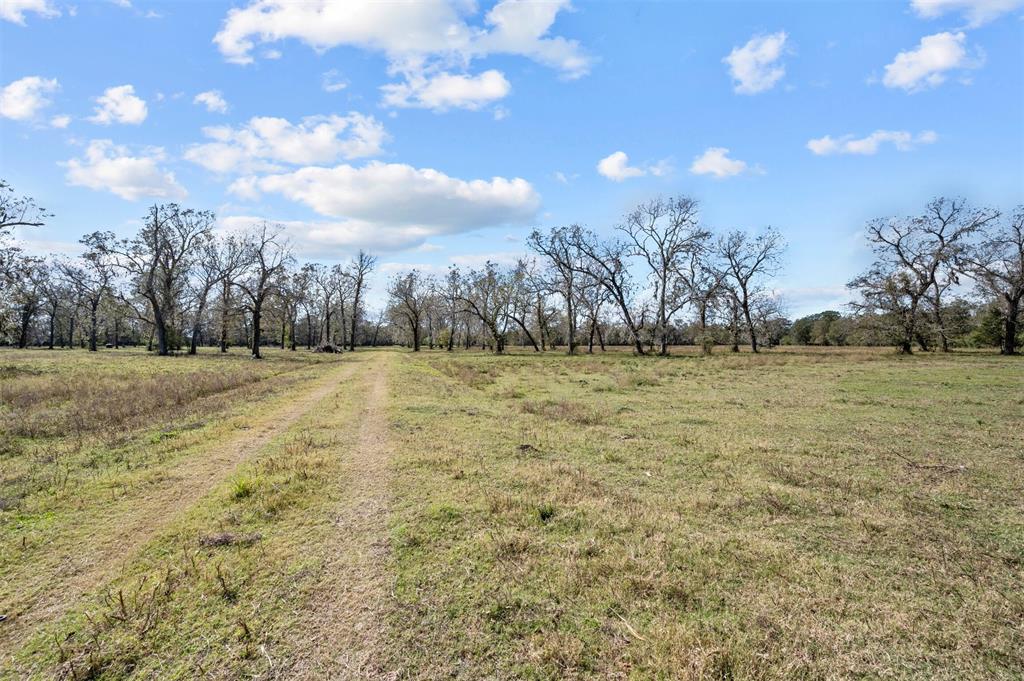 Mackhank Road, Boling, Texas image 4