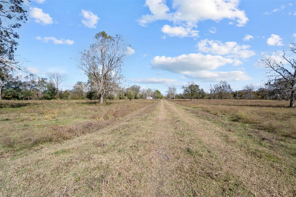 Mackhank Road, Boling, Texas image 2