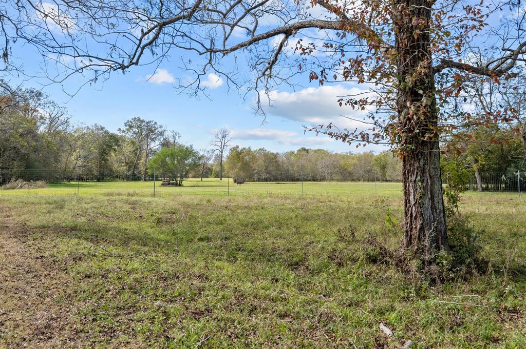 Mackhank Road, Boling, Texas image 5