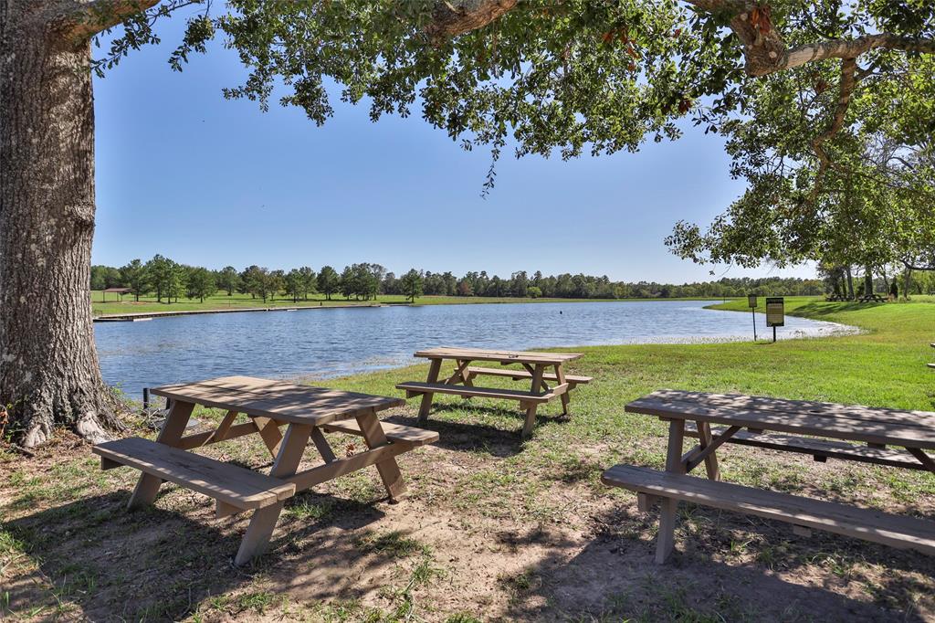 15409 Forest Grove Drive, Willis, Texas image 22
