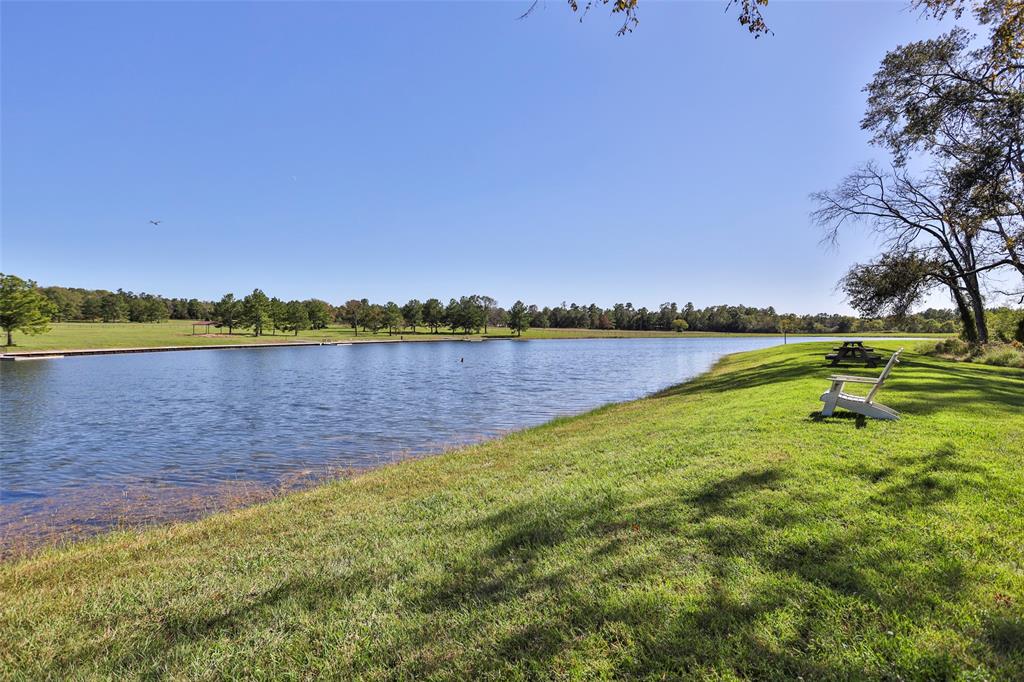 15409 Forest Grove Drive, Willis, Texas image 23