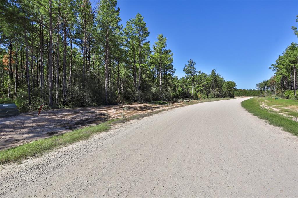 15409 Forest Grove Drive, Willis, Texas image 21