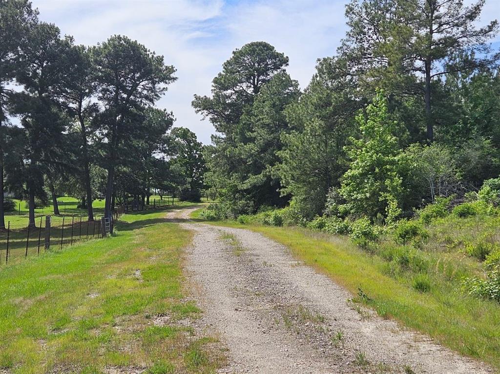 Tbd Hollybrook Drive, Trinity, Texas image 1
