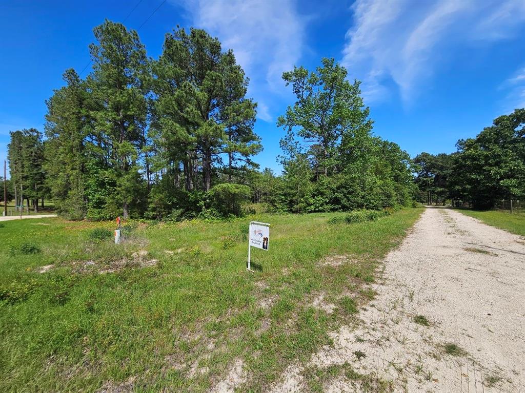 Tbd Hollybrook Drive, Trinity, Texas image 5