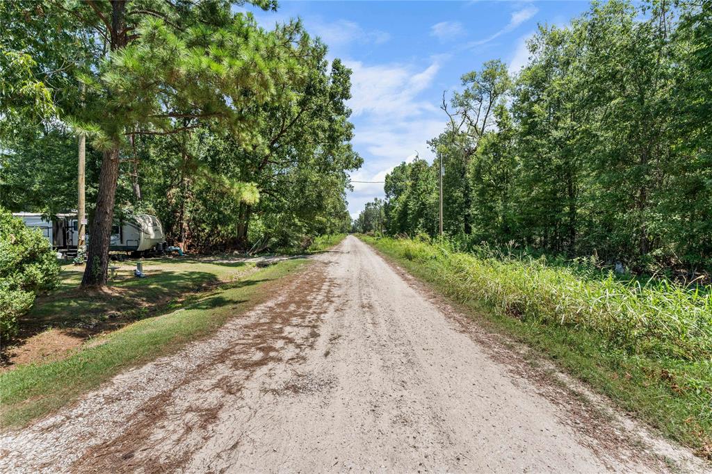 Wisteria Drive, Livingston, Texas image 4