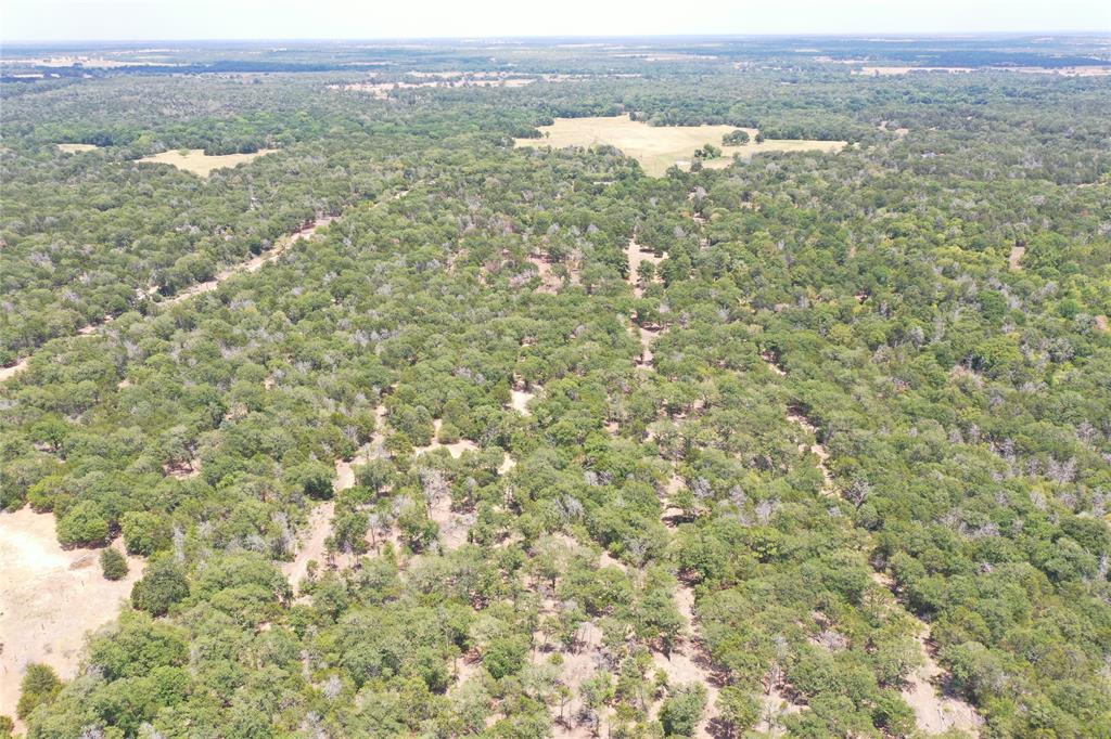 St Delight Rd, Paige, Texas image 8