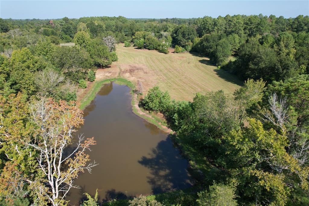 9942 State Highway 21, Crockett, Texas image 1