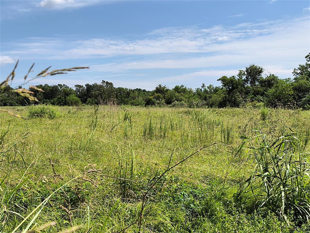 TBD Cochran Road, Hempstead, Texas image 4