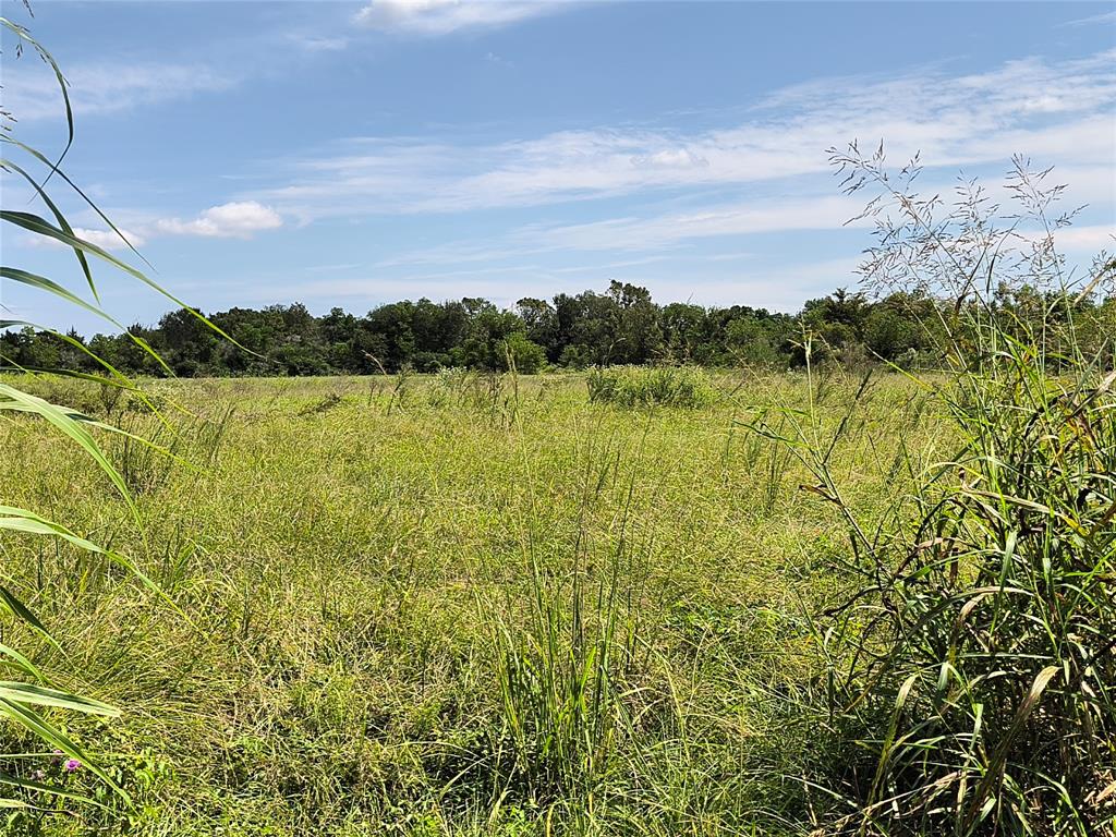 TBD Cochran Road, Hempstead, Texas image 3