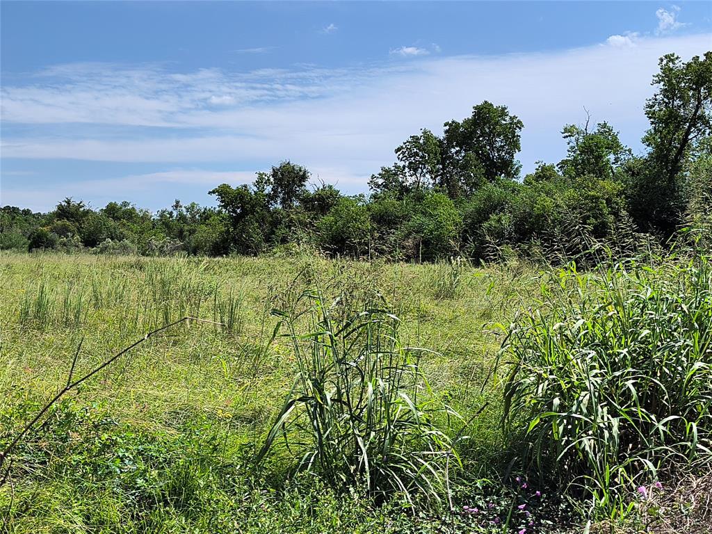 TBD Cochran Road, Hempstead, Texas image 5