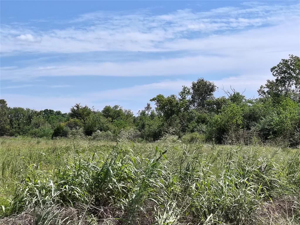 TBD Cochran Road, Hempstead, Texas image 2